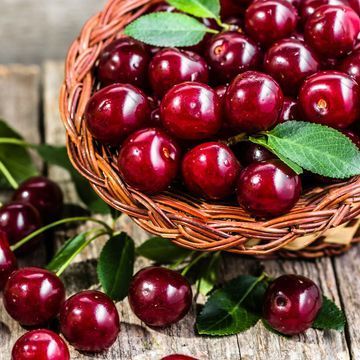 Вишня - черенки для прививки